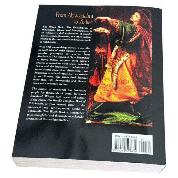 The Witch Book Encyclopedia Witchcraft Wicca Neo-Paganism Raymond Buckland - Picture 3 of 7
